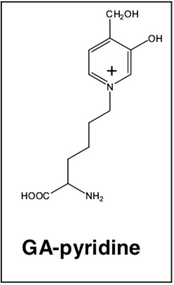 Anti GA-Pyridine mAb (Clone 2A2)