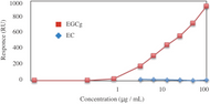 Figure 2. The affinity of anti-catechin antibody (clone ​​b-1058) against epigallocatechin gallate (EGCg) and epicatechin (EC) was measured by SPR measurement.