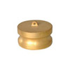 Type DP Brass Cam & Groove Dust Plug Male Camlock