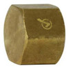 Lead-Free Brass FIP Cap