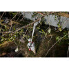 Milwaukee Tool M18 Brushless Telescoping Pole Pruning Shears Cutting Blade