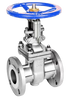 Teton 150# SS Flanged Gate Valve