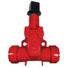 Midland Ductile Iron Gate Valve (RT x RT)