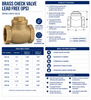 Lead-Free Brass IPS Swing Check Valve – Female NPT x Female NPT – 200 WOG