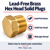 Billco lead-free brass hex head solid plug features