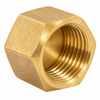 Representative lead-free brass hex cap product photo