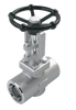 Forged Stainless Steel Socket Weld Gate Valve