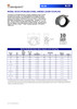 Shurjoint SS-28 Stainless Steel Hinged Lever Coupling Data Sheet