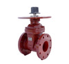 NRS Gate Valve D.I. Body-Flanged 300PSI UL/FM