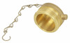 FDC Plug  &  Chain 2-1/2" NST Alum Brass