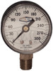 ABS Standard Dry Gauge ABS Standard Dry Gauge