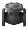 250# IBBM Flg Swing Check Valve