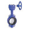 SM500BBG Lug Style Butterfly Valve