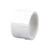 PVC DWV Reducing Female Adapter (FPT x H)