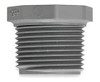 Schedule 80 CPVC Plug (MPT)