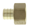 No Lead Brass PEX Swivel Adapter Coupling (PEX x FIP)