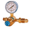 High Pressure Propane Regulator With Gauge