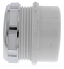 PVC DWV Male Trap Adapter w/ Chrome Nut (SPG x SLIP)