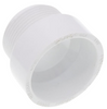 PVC DWV Female Trap Adapter (H x S)