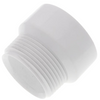 PVC DWV Female Trap Adapter (H x S)