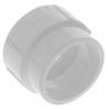 PVC DWV Fitting Cleanout Adapter (SPIGOT x FPT)