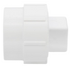 PVC DWV Fitting Cleanout Adapter w/ Plug (SPG x FPT)
