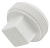 PVC DWV Square Head Cleanout Plug (MPT)