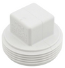 PVC DWV Square Head Cleanout Plug (MPT)