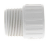 Schedule 40 PVC IPT Adapter (MPT x FPT)