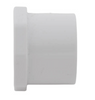Schedule 40 PVC Counter Sunk Plug (SPG)