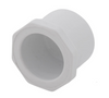 Schedule 40 PVC Counter Sunk Plug (SPG)