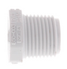 Schedule 40 PVC Plug (MPT)
