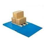 Low Profile Floor Scale