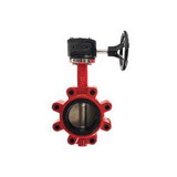 Midland Lug-Style Gear Operated Butterfly Valve Ductile Iron Body SS Disc EPDM Seat