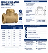 Lead-Free Brass IPS Swing Check Valve – Female NPT x Female NPT – 200 WOG
