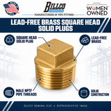 Billco Lead-Free Brass Square Head Solid Plugs feature graphic