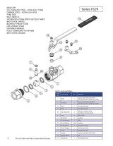 Chicago Valves Series FS29 Catalog Page