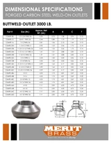 3000# Forged Steel Butt Weld Outlet Dimensions