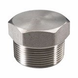 150# Stainless Steel Hex Head Plug