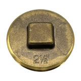 2 1/2″ Raised-Head Brass Plug