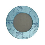 2″ Garlock 3000 Ring Gasket Strainer