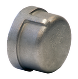 150# Stainless Cap ISO 49