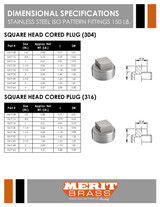 150# Stainless Steel Cored Square Head Plug  ISO 49 Dimensions