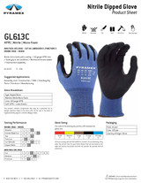 Pyramex GL613C Series Data Sheet