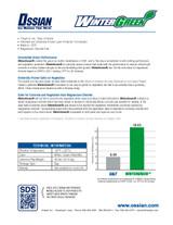Winter Green Ice Melt Brochure