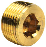2191600C - Brass Hex Socket Plug
