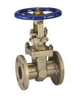 150# Stainless Steel Flanged Gate Valve Fig 216