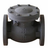 125# Cast Iron Flanged Check Valve