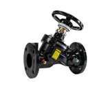 Globe Valve, Variable Orifice, Flanged Connection, 230 WOG