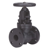 125# IBBM Flanged Globe Valve